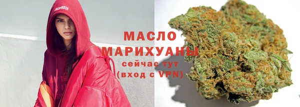 индика Корсаков