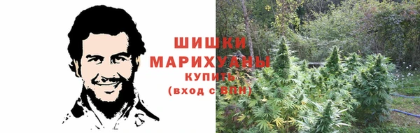 индика Корсаков