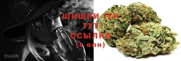 индика Корсаков