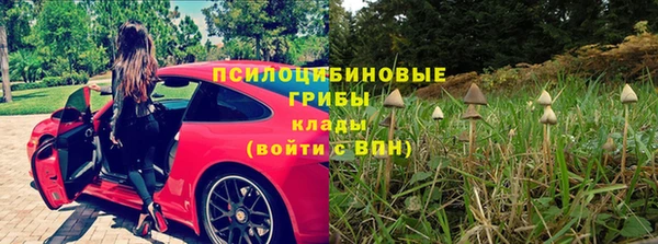 индика Корсаков
