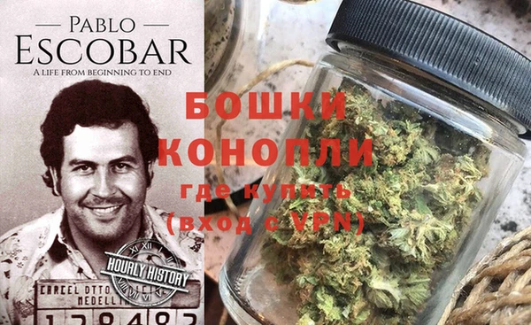 индика Корсаков