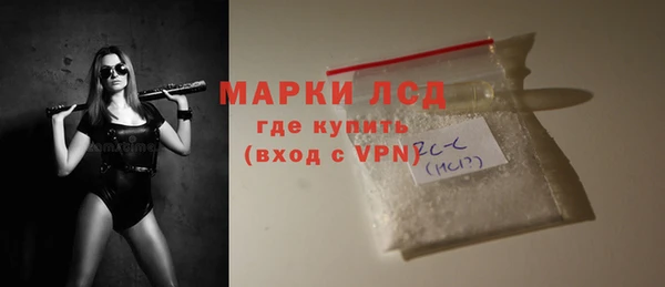 индика Корсаков