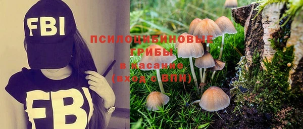 индика Корсаков
