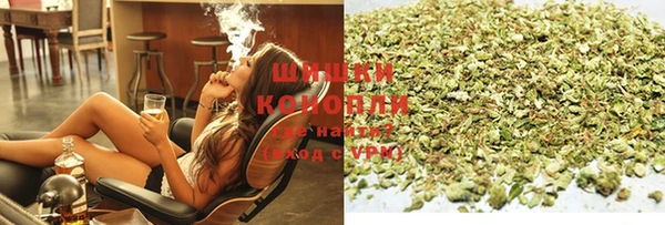 индика Корсаков
