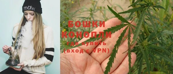не бодяженный Коряжма