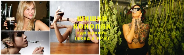 индика Корсаков