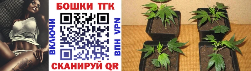 Купить где  Богородск  Канабис план 